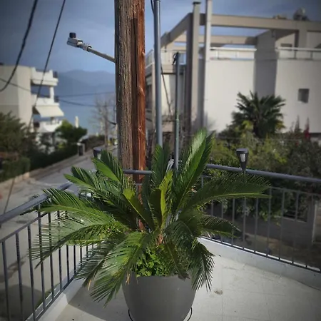 Zefi's House * ヴォロス