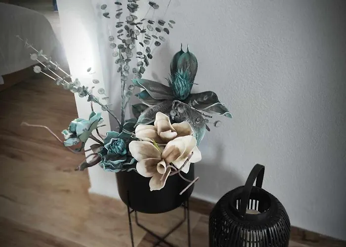 Zefi's House * ヴォロス