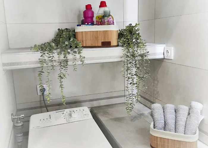 Zefi's House ヴォロス