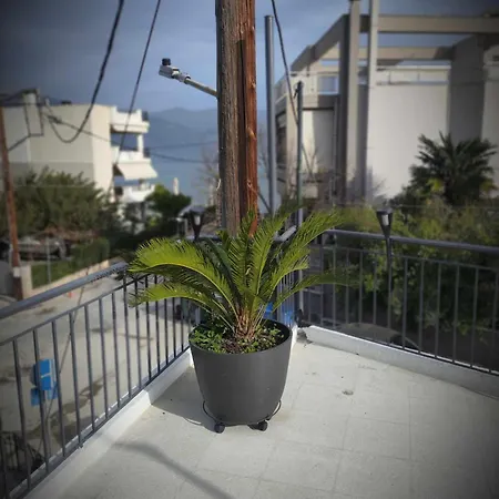 Zefi's House * Vólos