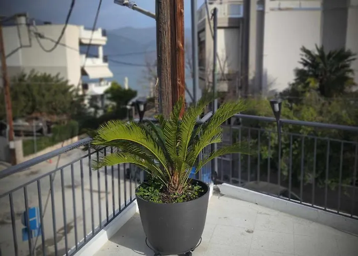 Zefi's House * וולוס